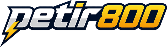 Logo petir800